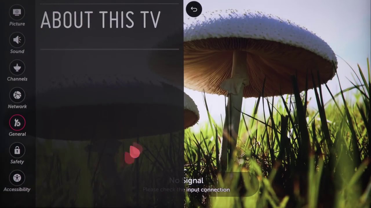 YouTube video player